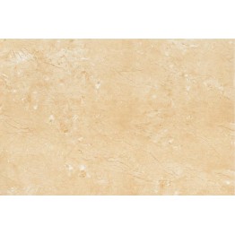 Gạch lát sàn Trường Thịnh TT96032